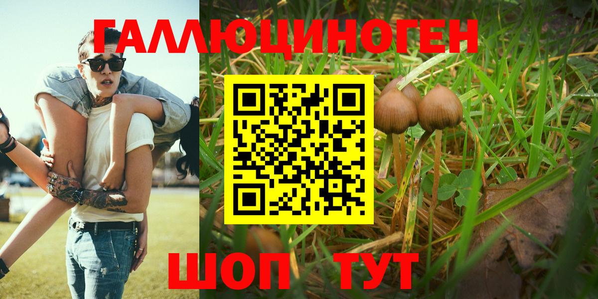 Псилоцибиновые грибы ЛСД  Вход с VPN  Камышин 